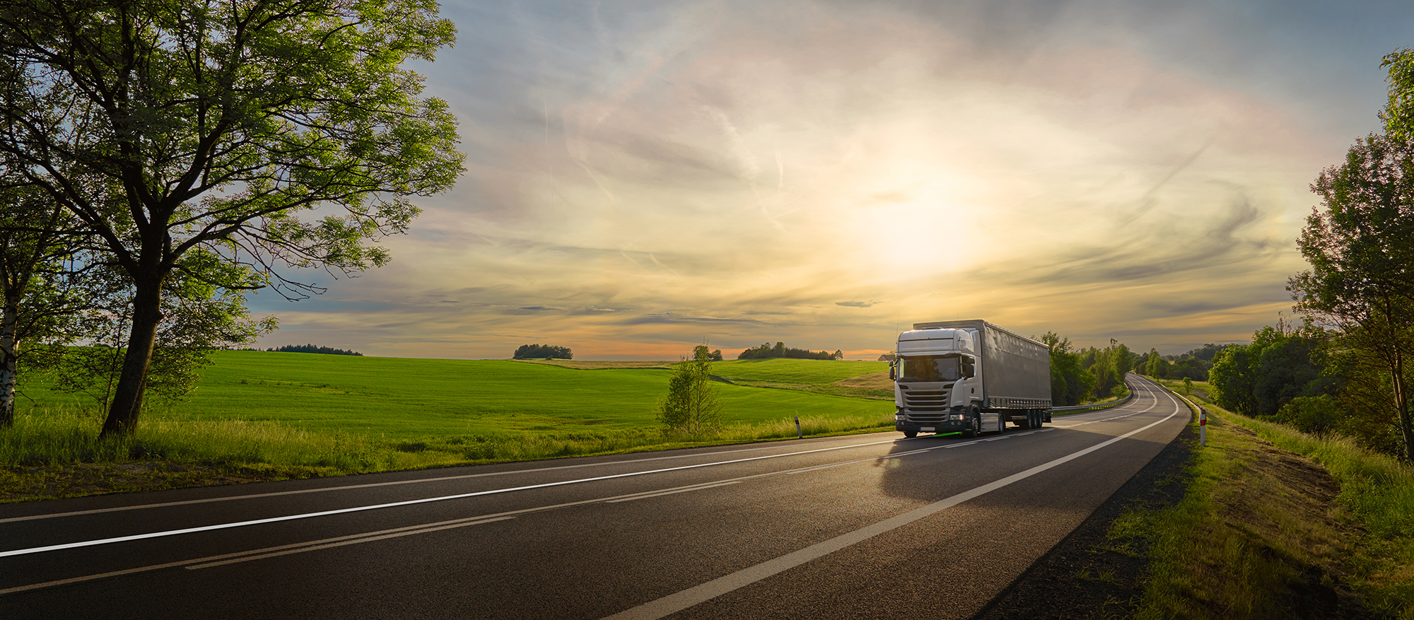 elonroad-trucker_2000