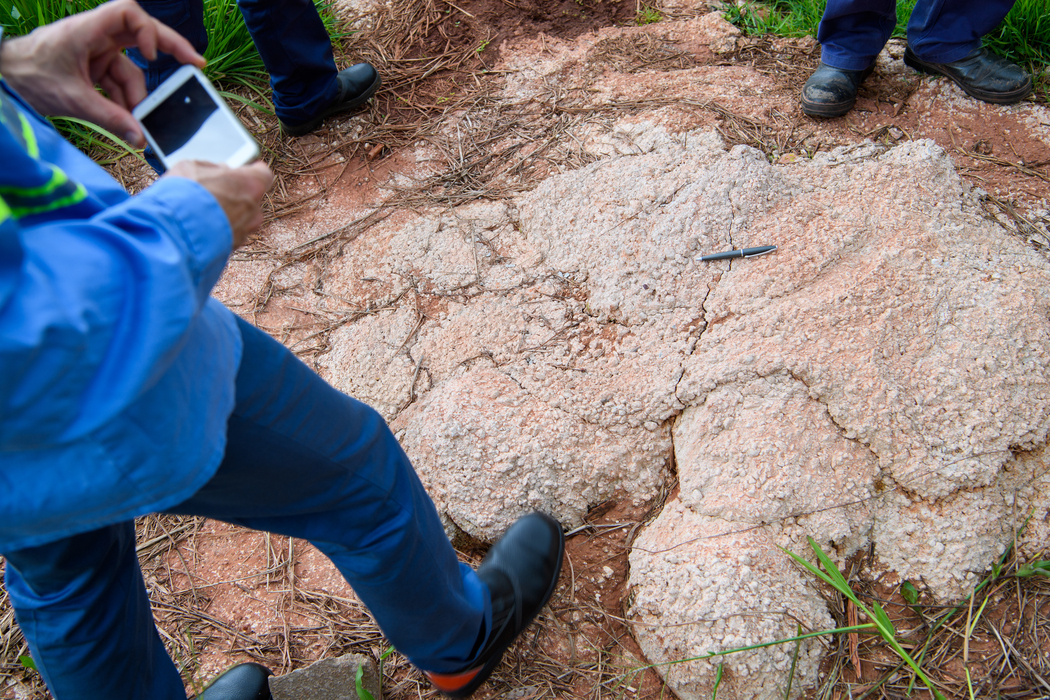 a person holding a phone