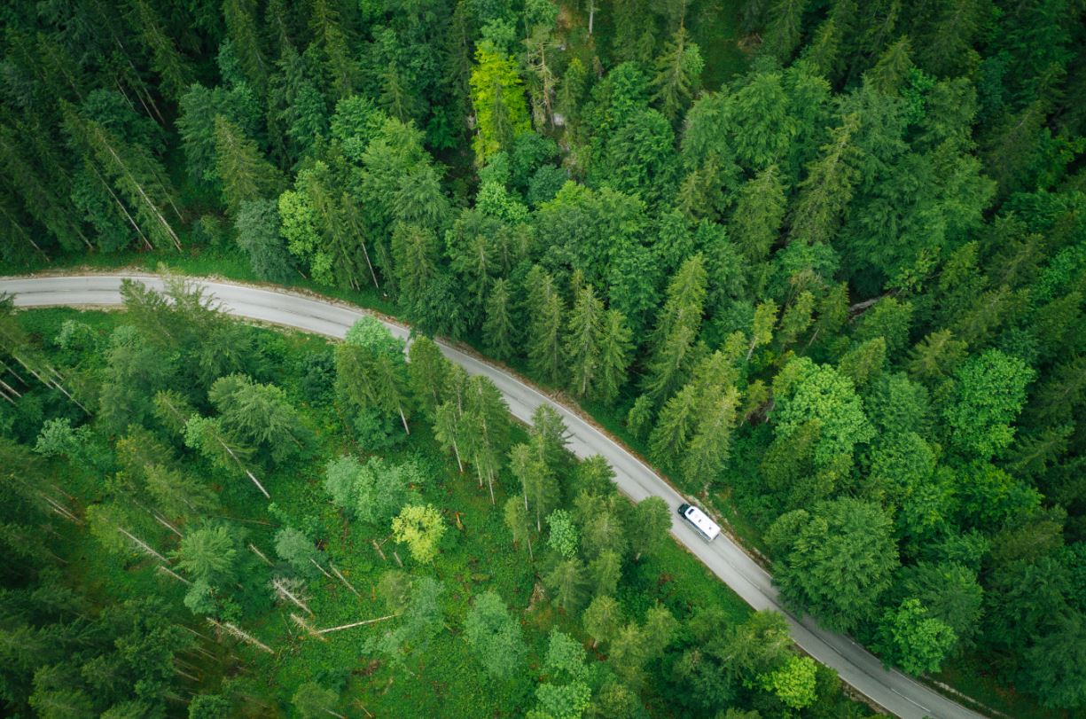 a train on a track surrounded by trees